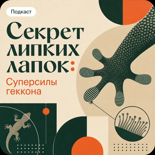 Секрет липких лапок: Суперсилы геккона