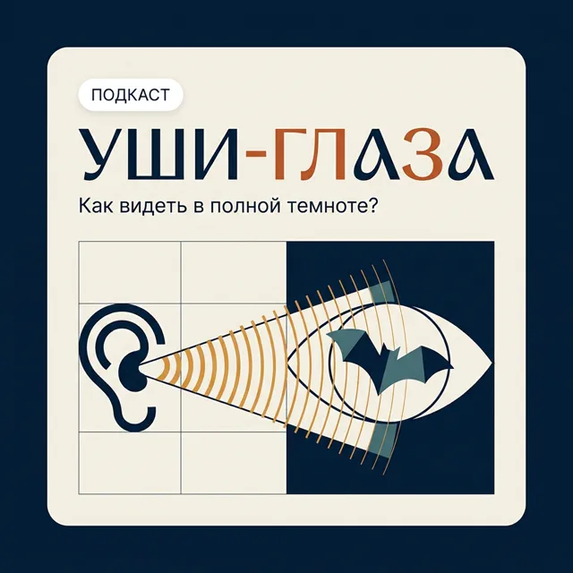Уши-глаза: Как видеть в полной темноте?