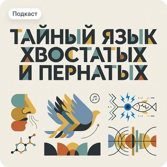 Тайный язык хвостатых и пернатых